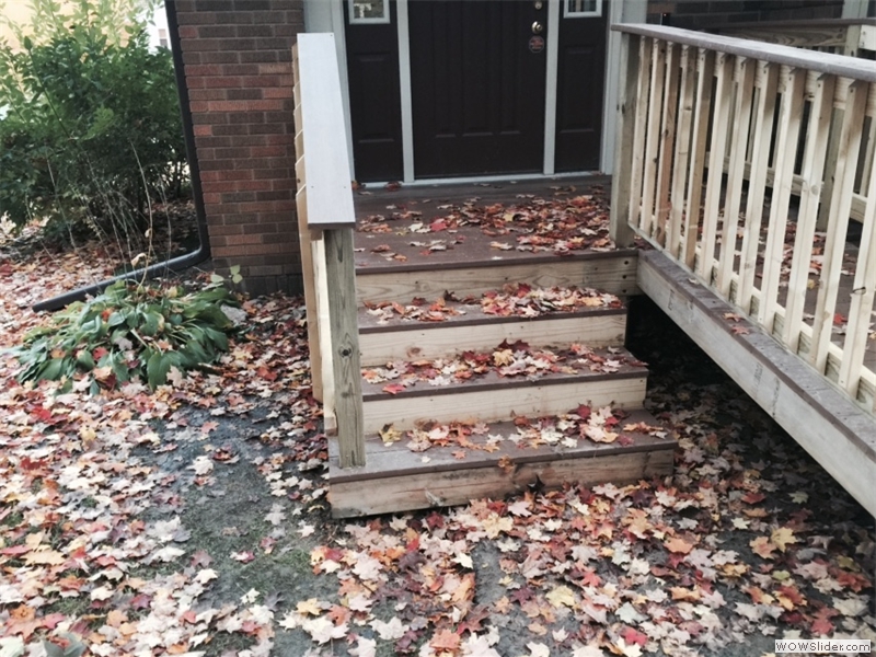 Entry Deck and Handicap Accessible Ramp